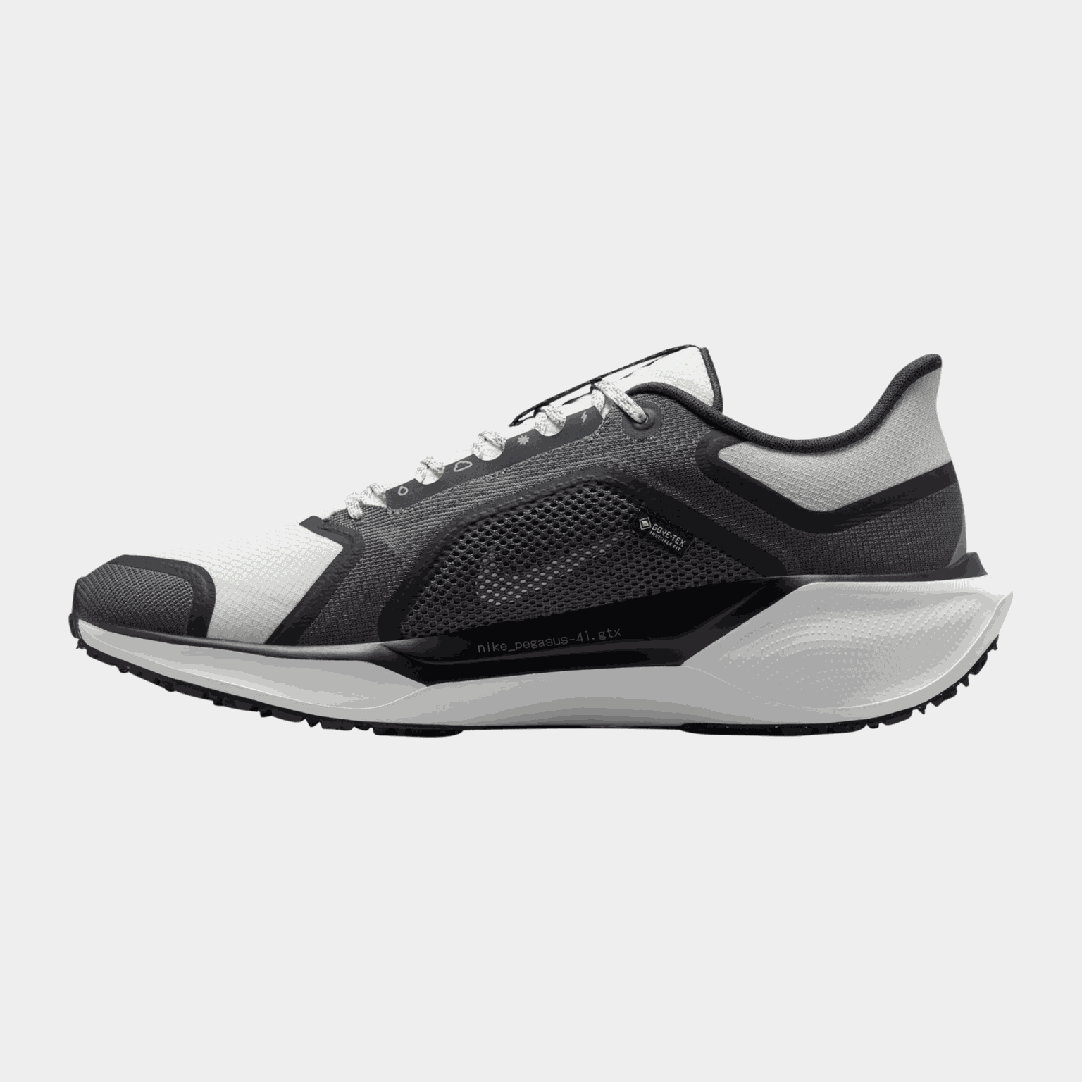 Air Zoom Pegasus 41 Gore-Tex, miesten juoksukengät - full image 2