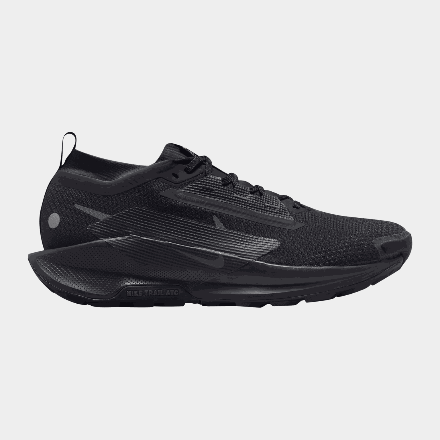 Pegasus Trail 5 Gore-Tex, miesten maastojuoksukengät - full image 2