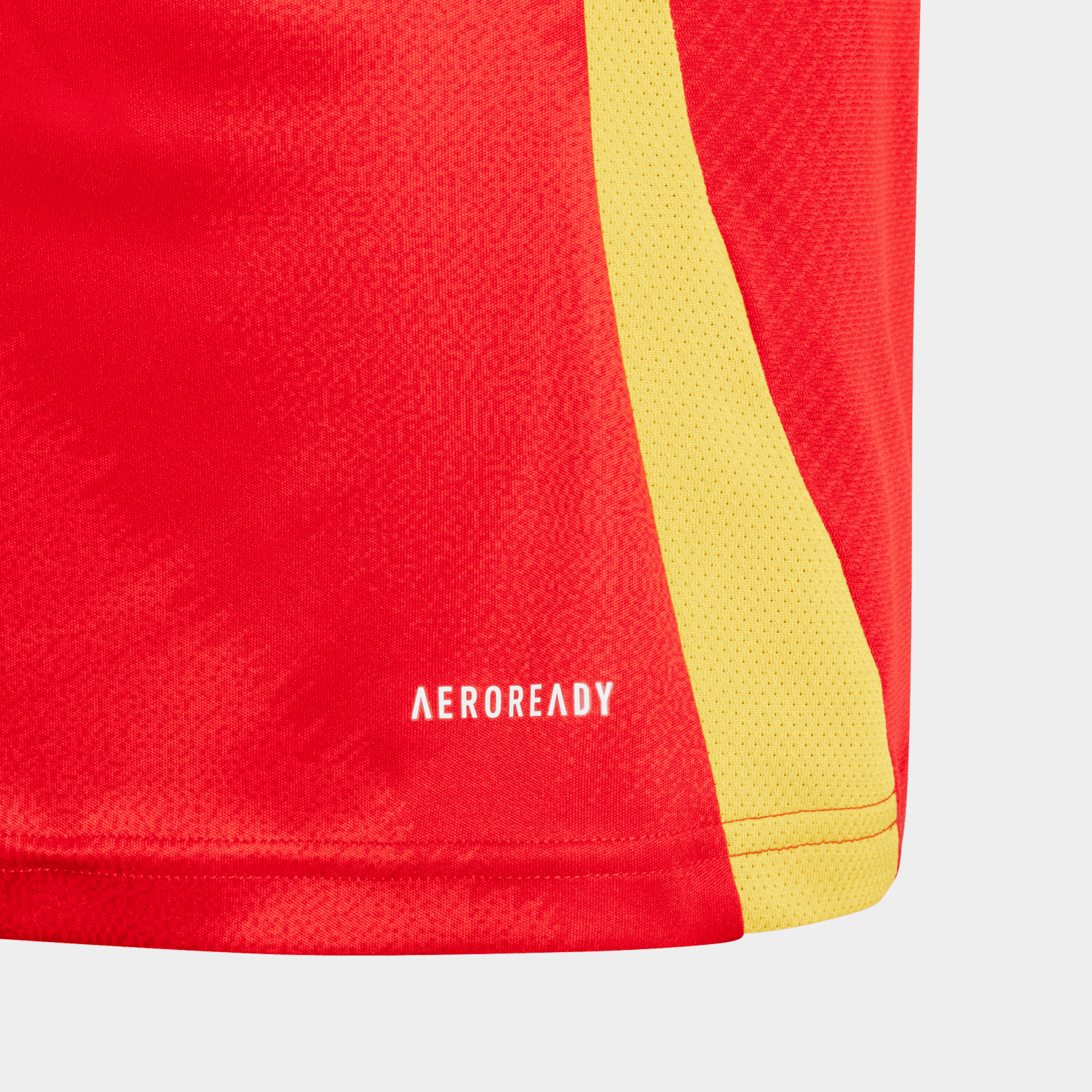 Spain Home Jersey / EURO24, nuorten jalkapalloasu - full image 4