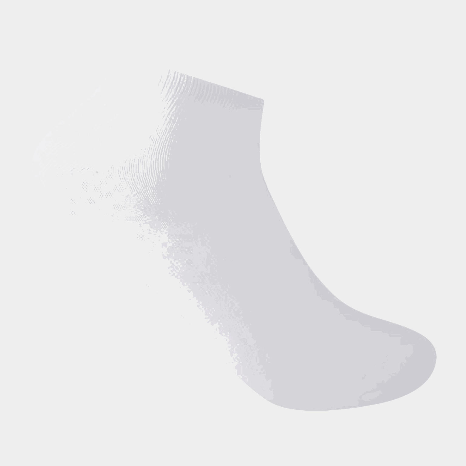 Trainer Sock 5Pk, miesten sukat - full image 2