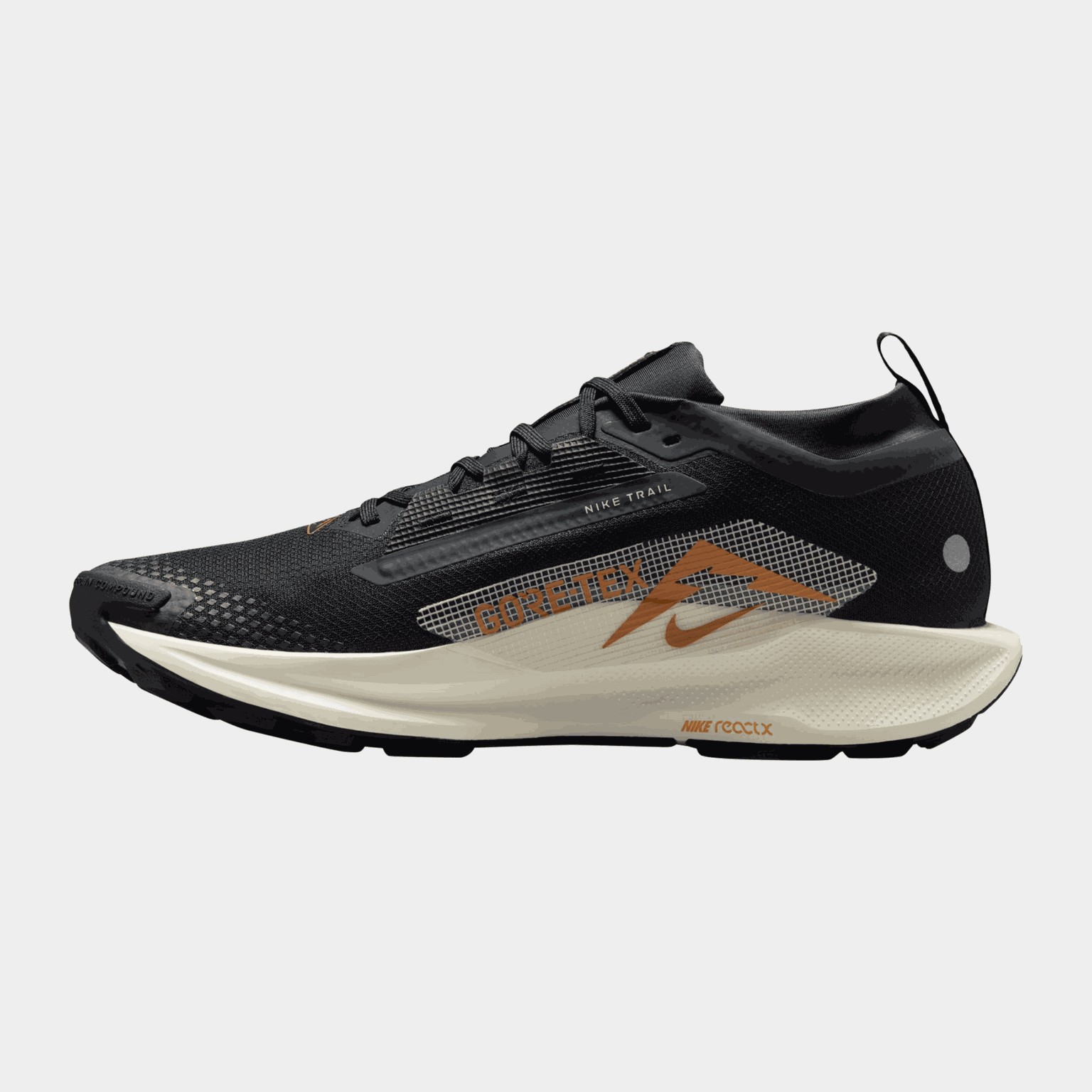 Pegasus Trail 5 Gore-Tex, miesten maastojuoksukengät - full image 2