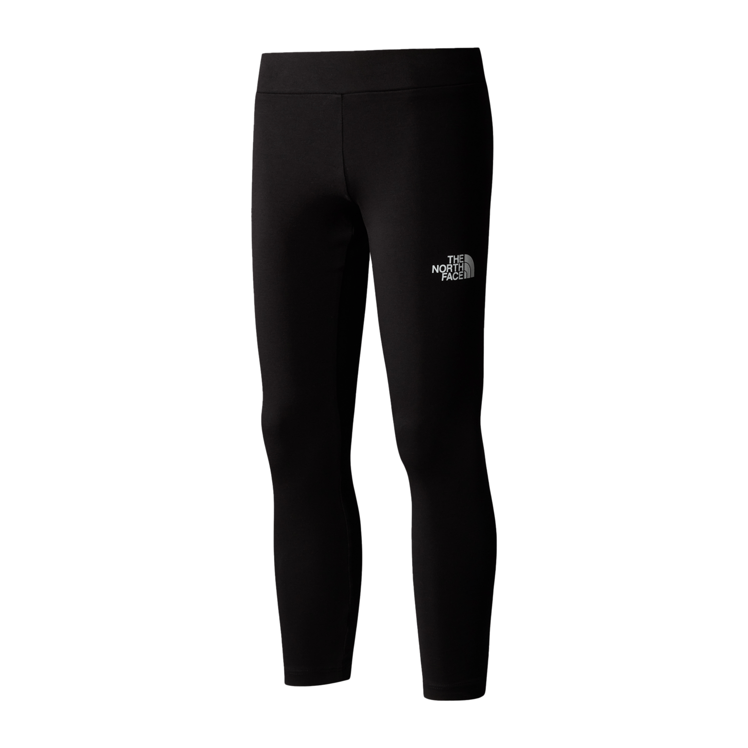 Леггинсы с графическим рисунком The North Face G