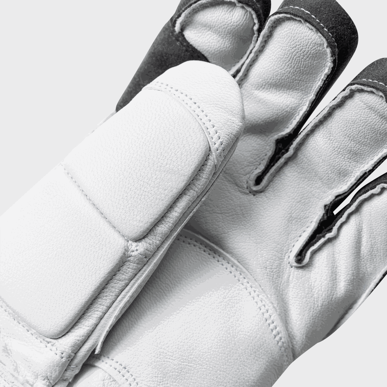Alpine Gloves GSL Race Trigger - 5 finger 25/26, Laskettelukäsineet, kilpakäsineet, unisex - full image 4