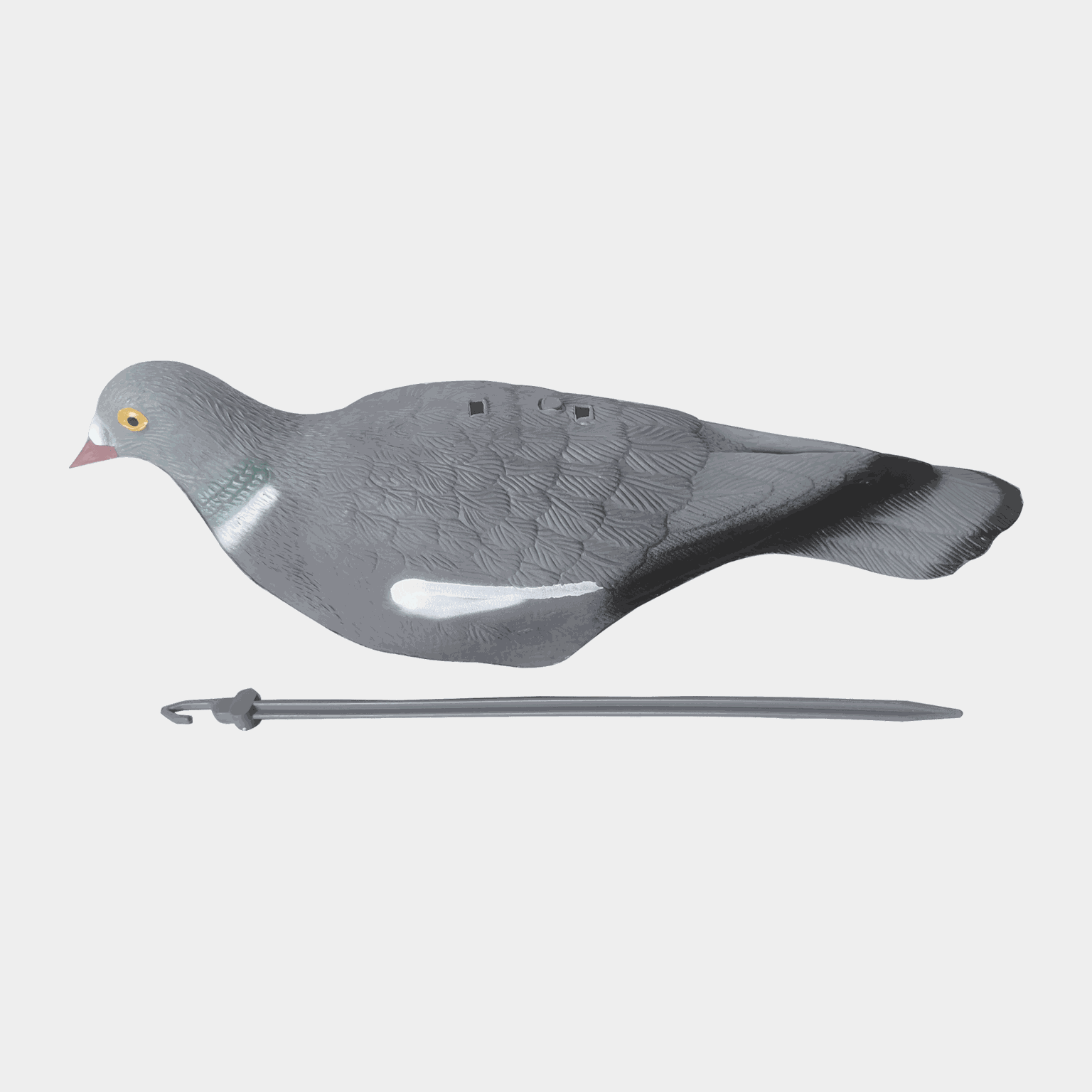 Pigeon-kuori, decoy, houkutuslintu, sepelkyyhky - full image 4