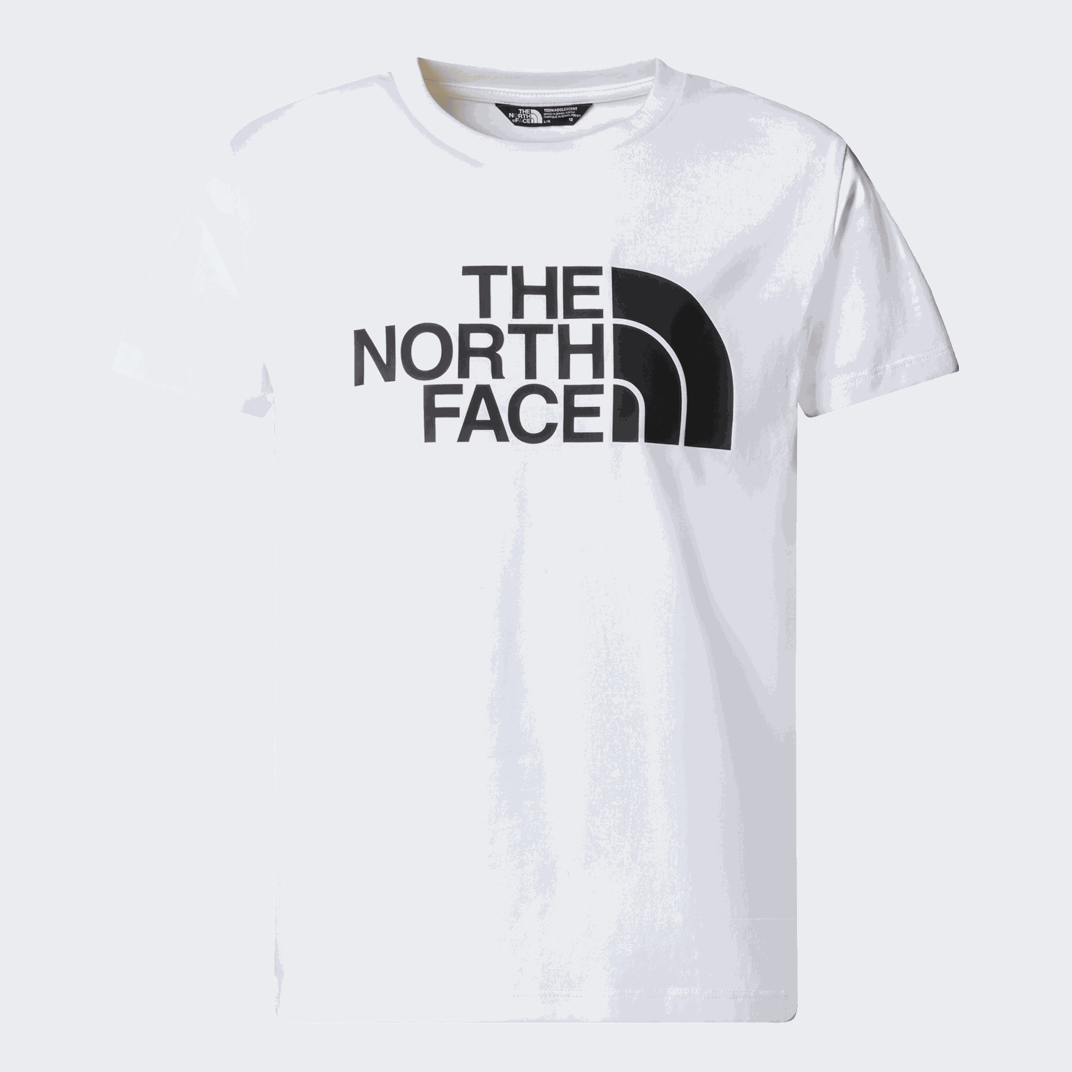 TNF Easy Tee, Nuorten t-paita - full image 1