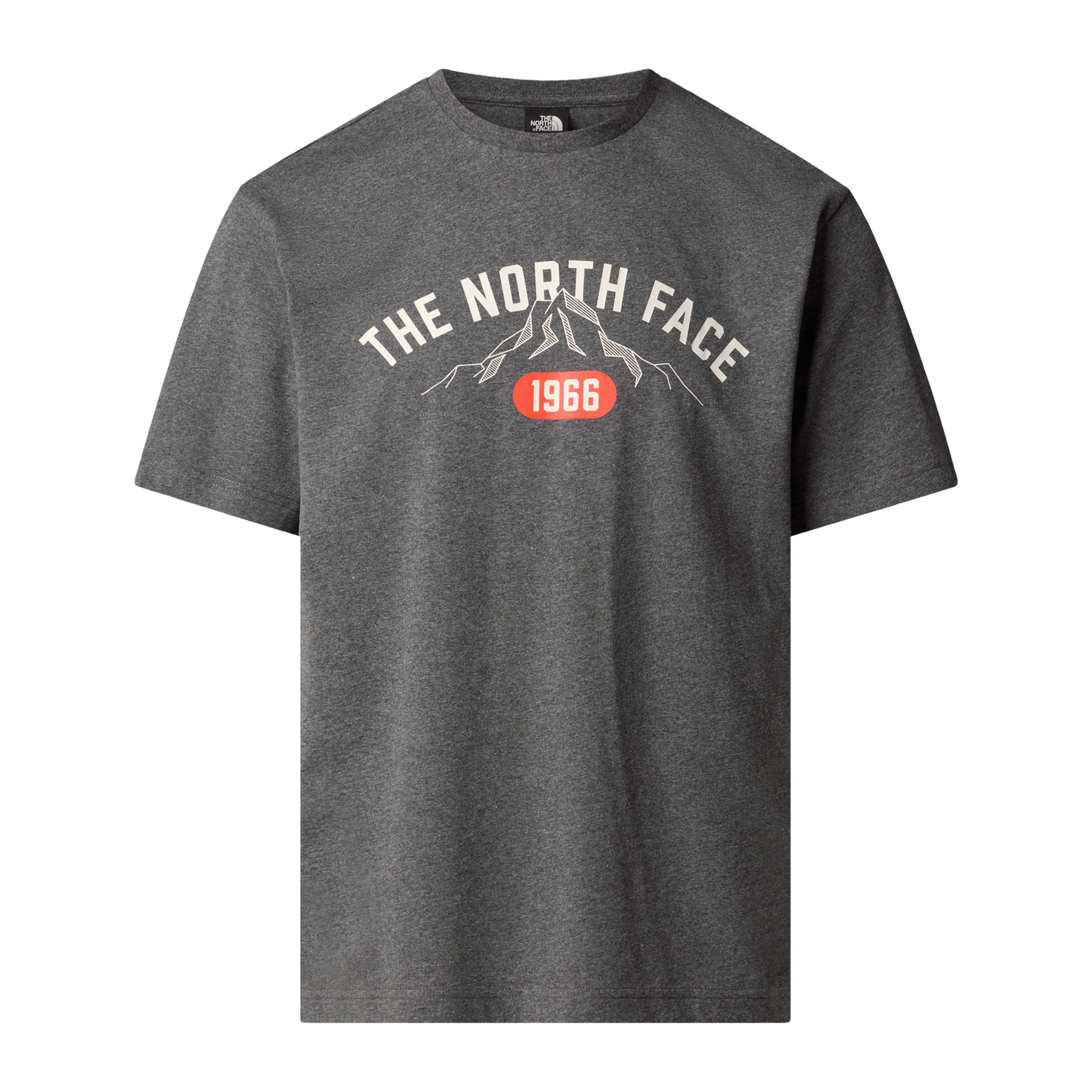 Свободная футболка The North Face Varsity из нержавеющей стали с графическим принтом