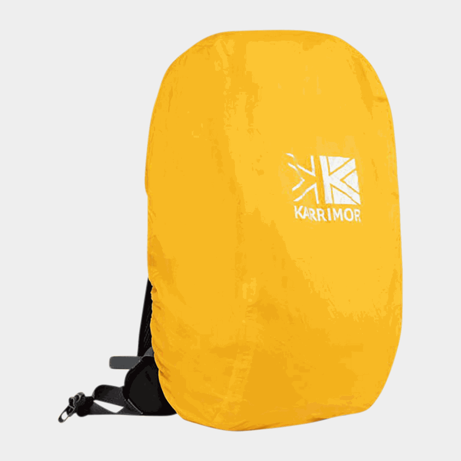 RSac Rain Bg cv. repun sadesuoja - full image 2