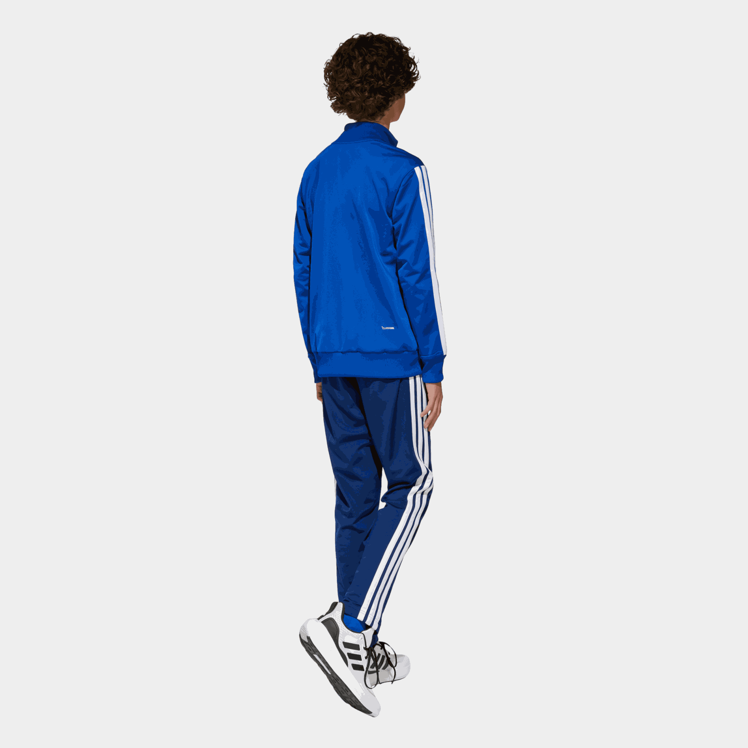3s Tiberio Ts - full image 2