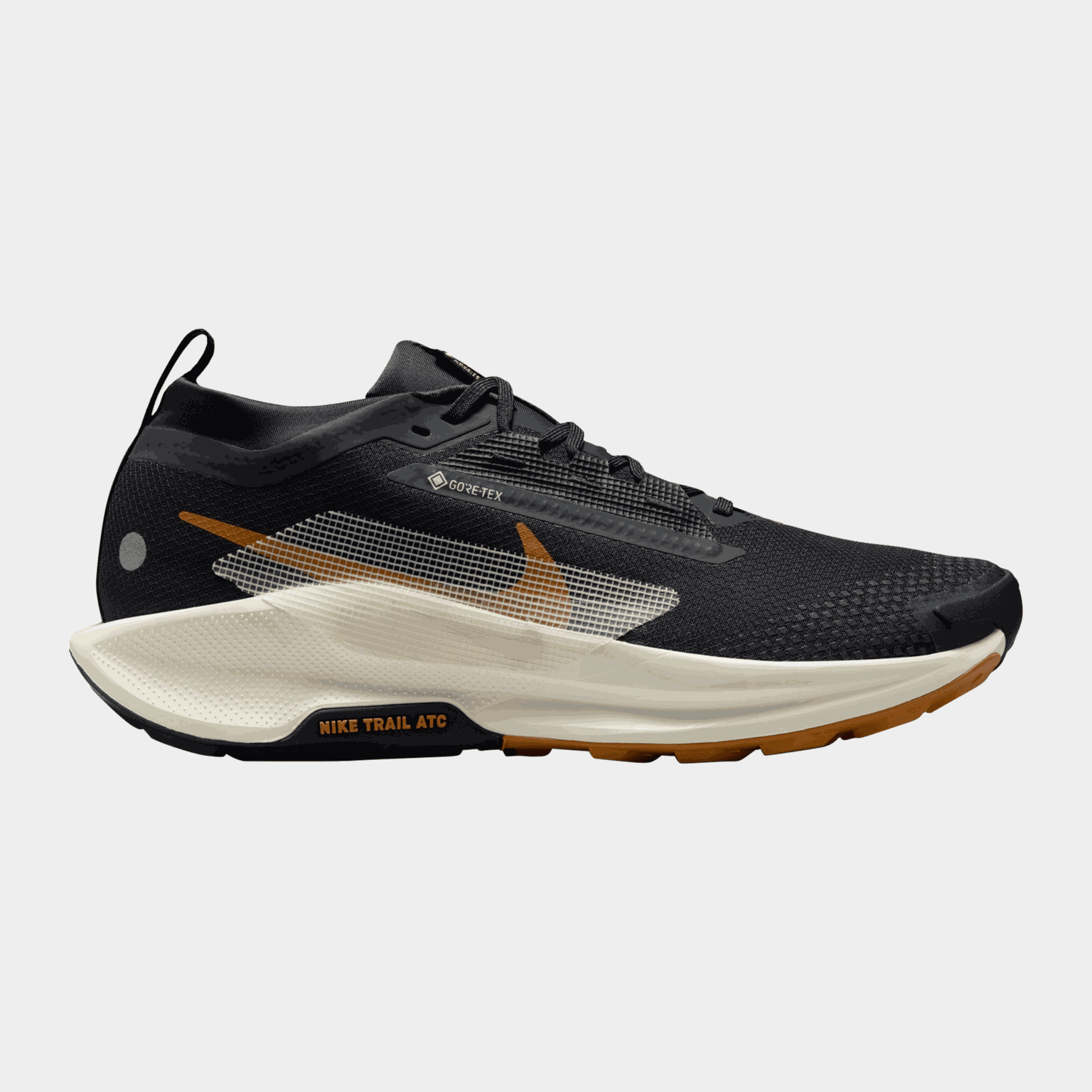 Pegasus Trail 5 Gore-Tex, miesten maastojuoksukengät - full image 1