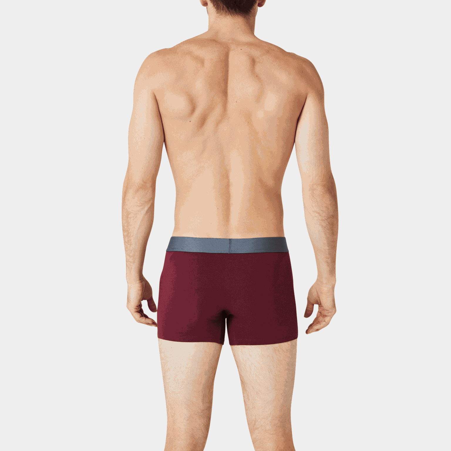 2pk Trunk, alushousut - full image 2