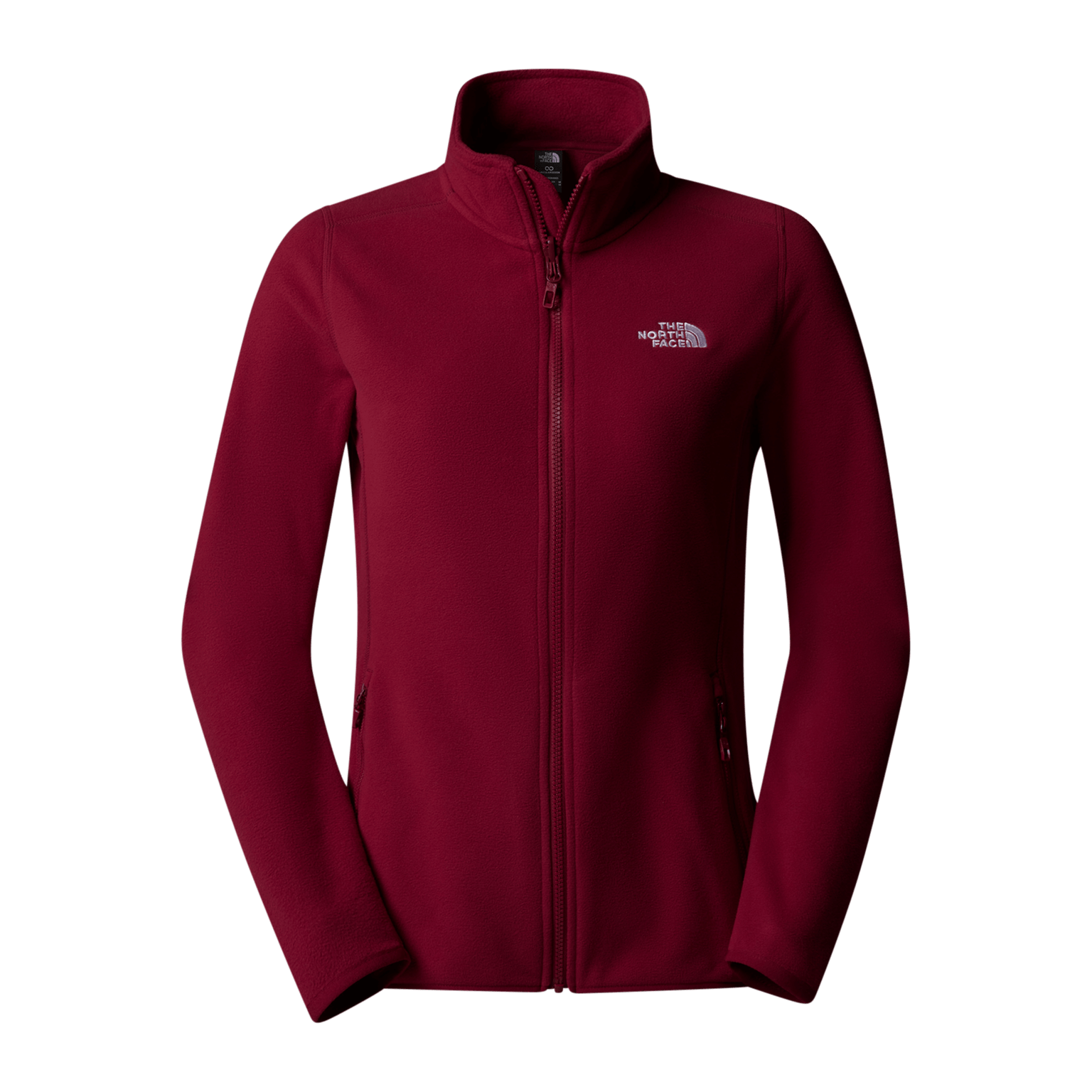 Ледник North Face 100 Fz