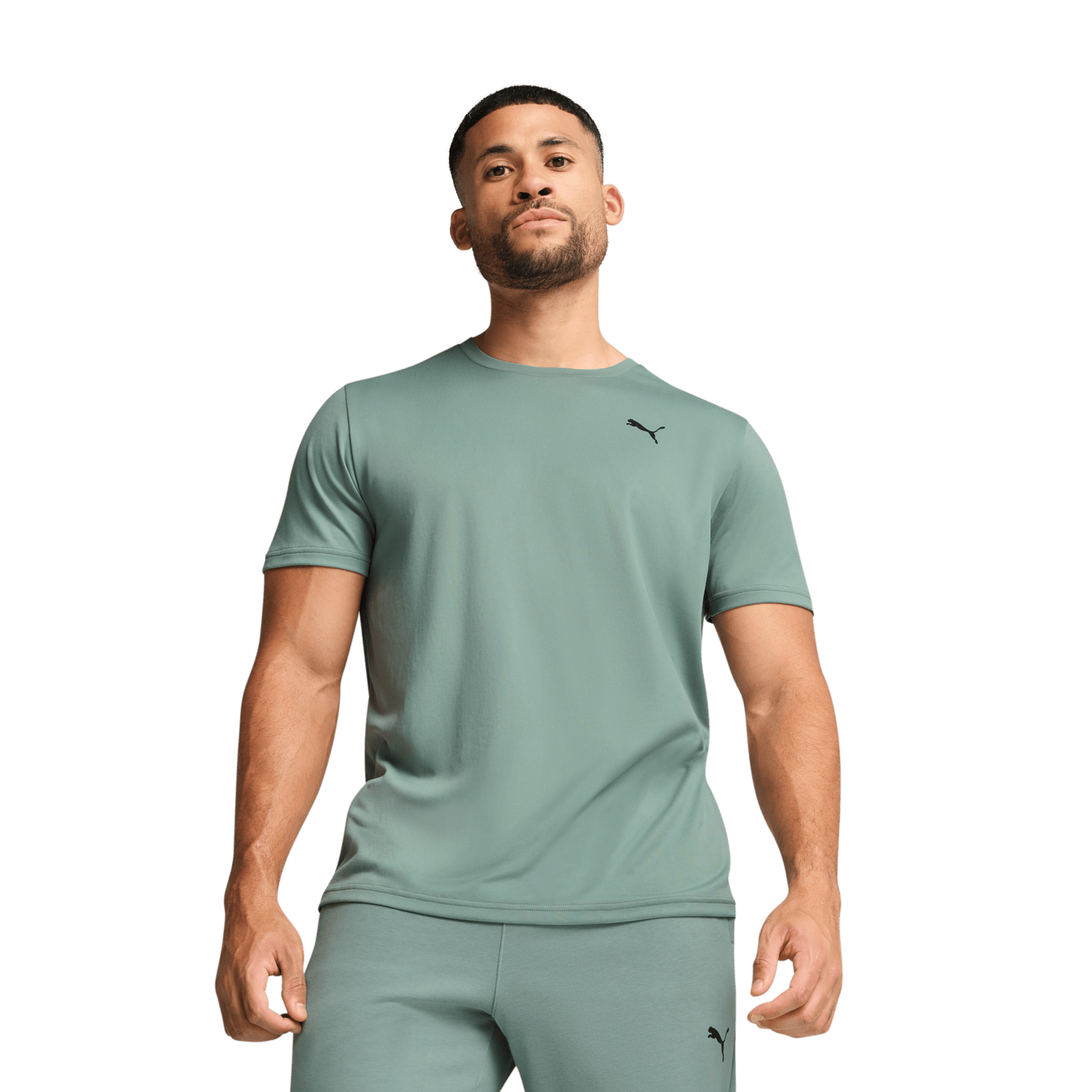 Puma TAD ESSENTIALS SOLID CAT TEE (LC small cat), мужская тренировочная рубашка