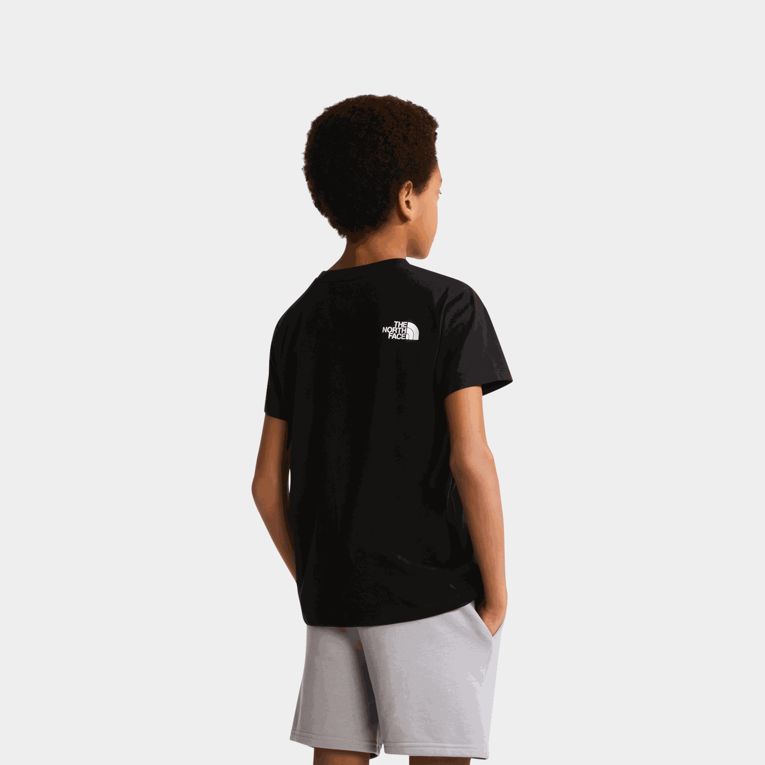 TNF Simple Dome Tee - full image 4