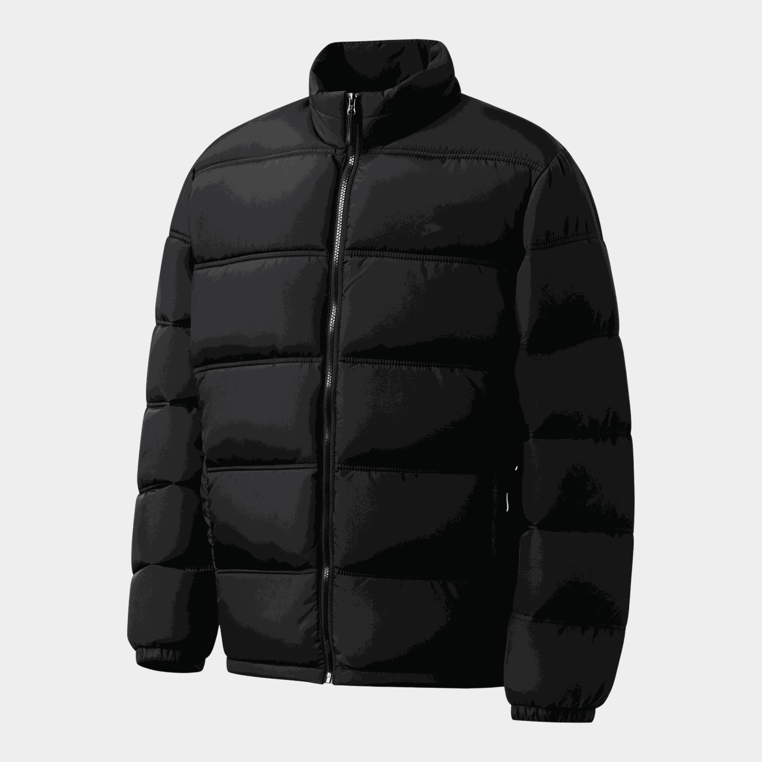 Slaz Puffer Jkt, miesten talvitakki - full image 3