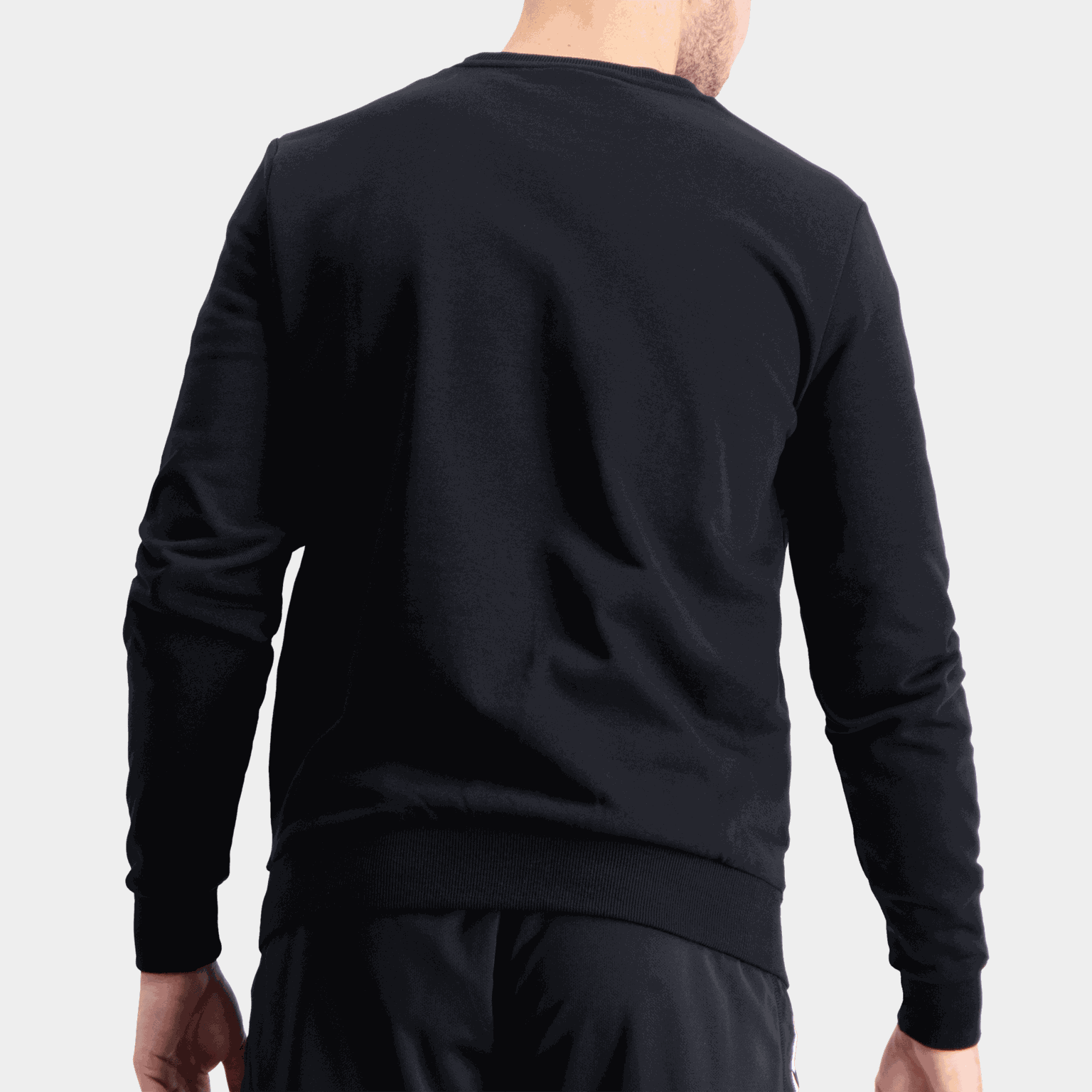 2024 Madison College Shirt, aikuisten treenipaita 25/26 - full image 2