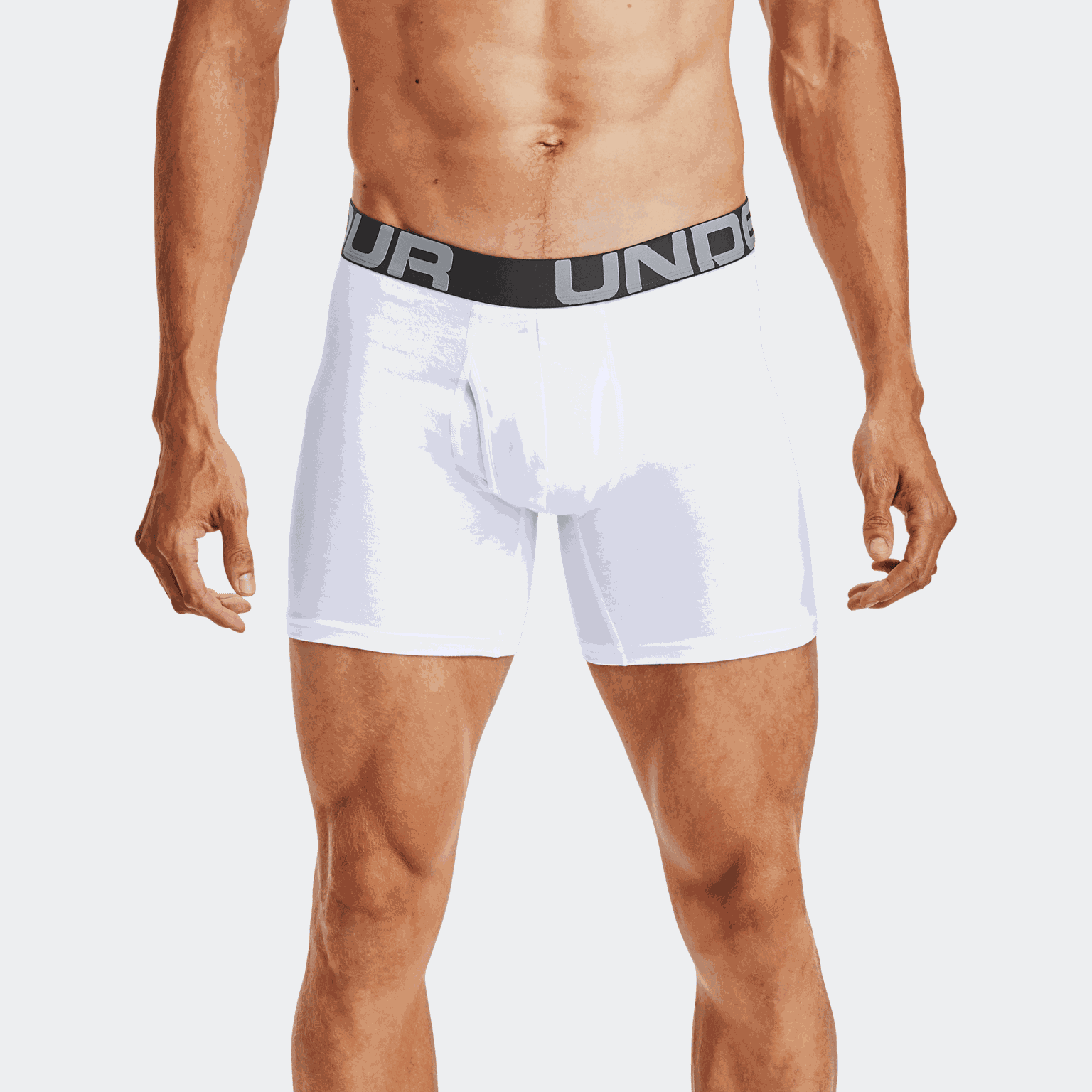 Charged Cotton 6in 3 Pack, miesten bokserit - full image 1