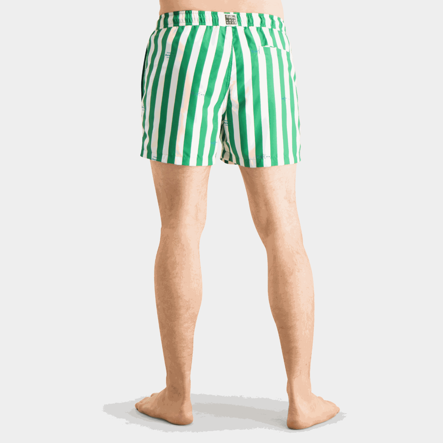 Borg Print Swim Shorts, miesten uimashortsit - Uimashortsit ...