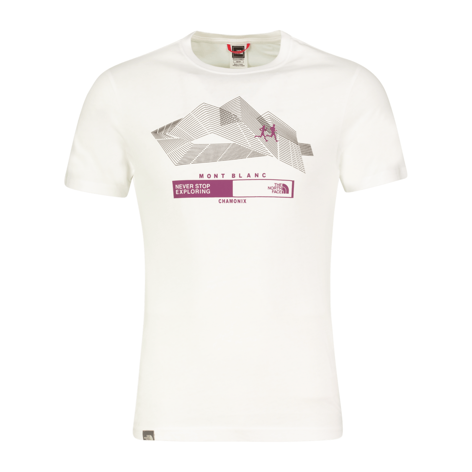 Футболка The North Face Chamonix Ss