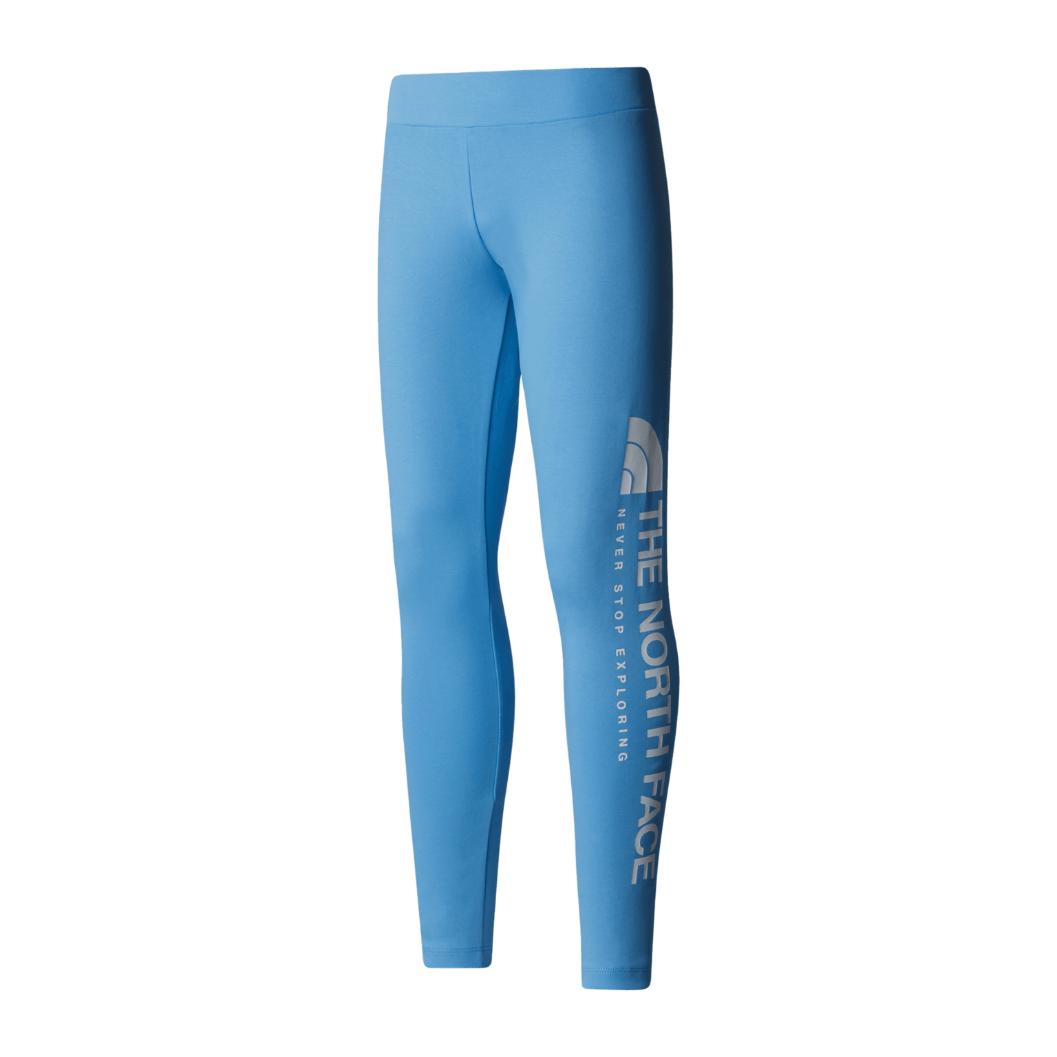 Леггинсы с вертикальным графическим рисунком The North Face G