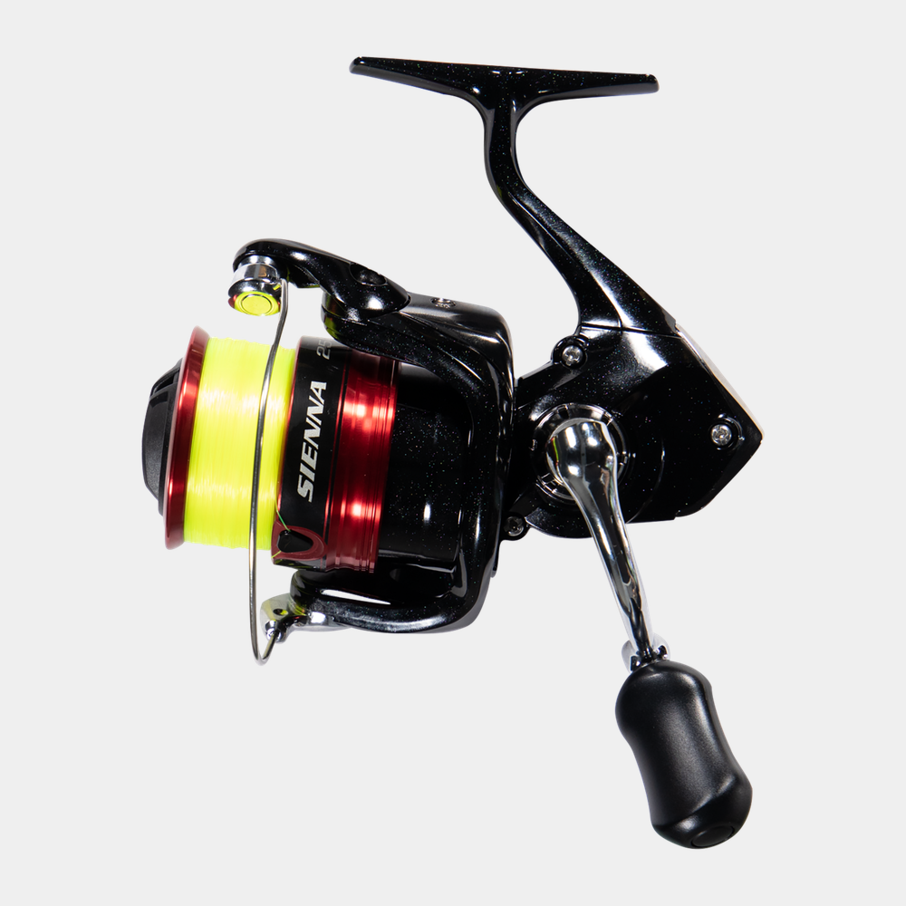 Sienna 2500fg, avokela - full image 1