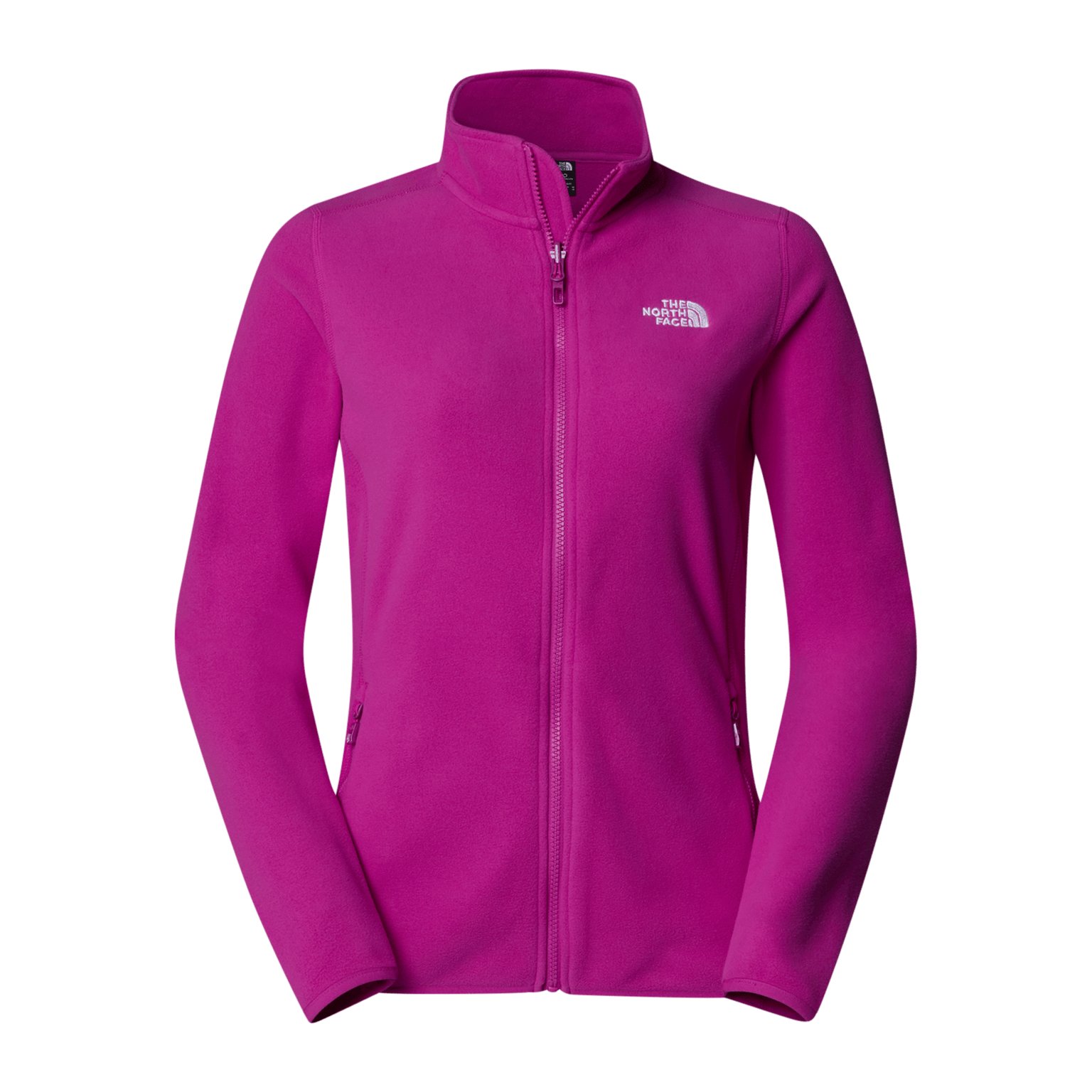 Ледник North Face 100 Fz