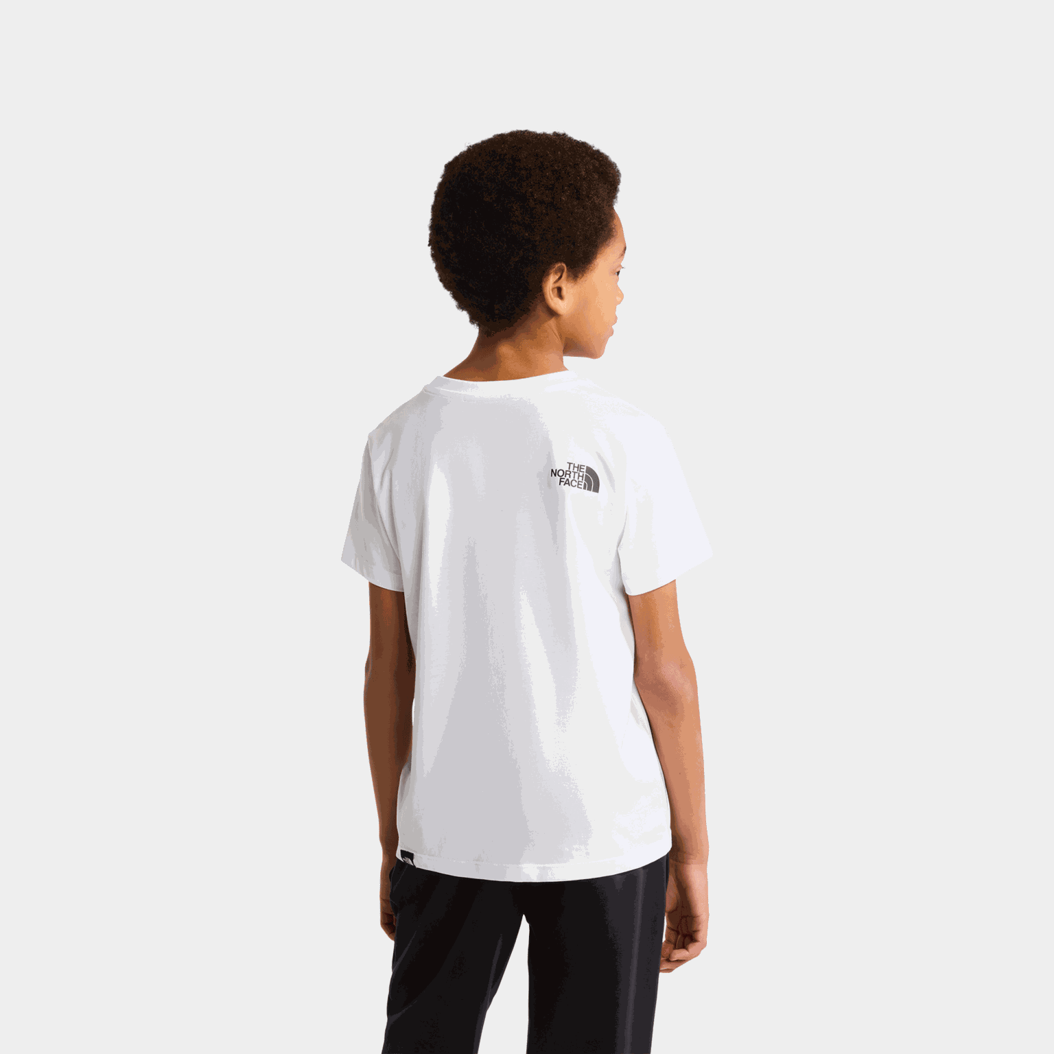 TNF Simple Dome Tee - full image 4