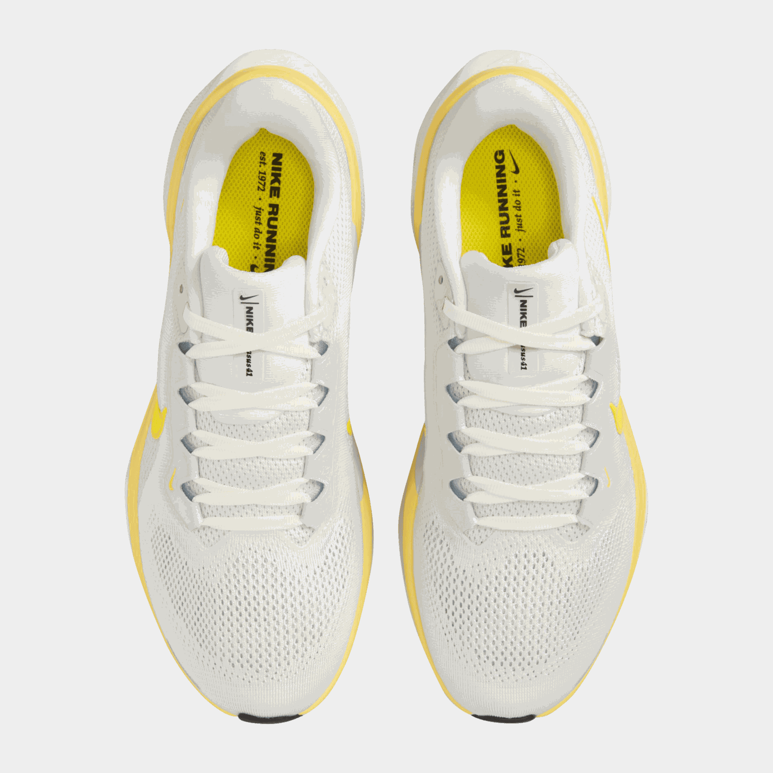 Pegasus 41 - full image 4