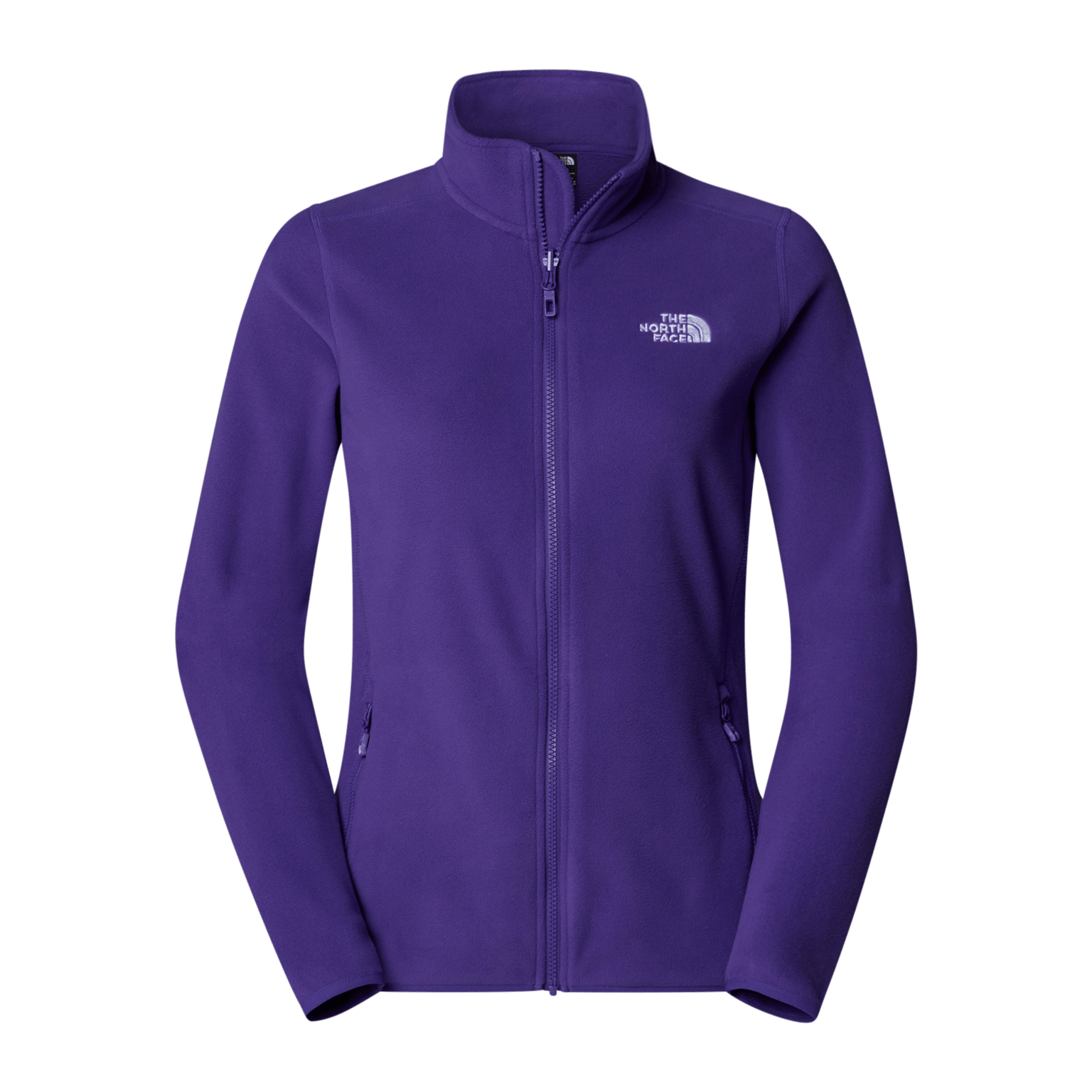 Ледник North Face 100 Fz