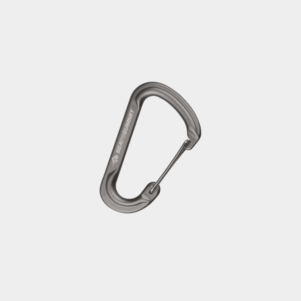 Large Carabiner 2Pk, karabiinihaka - full image 1