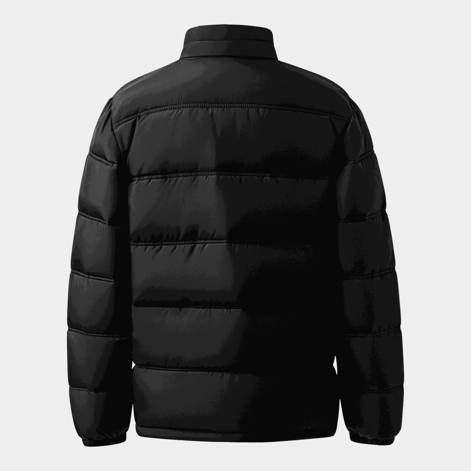Slaz Puffer Jkt, miesten talvitakki - full image 2