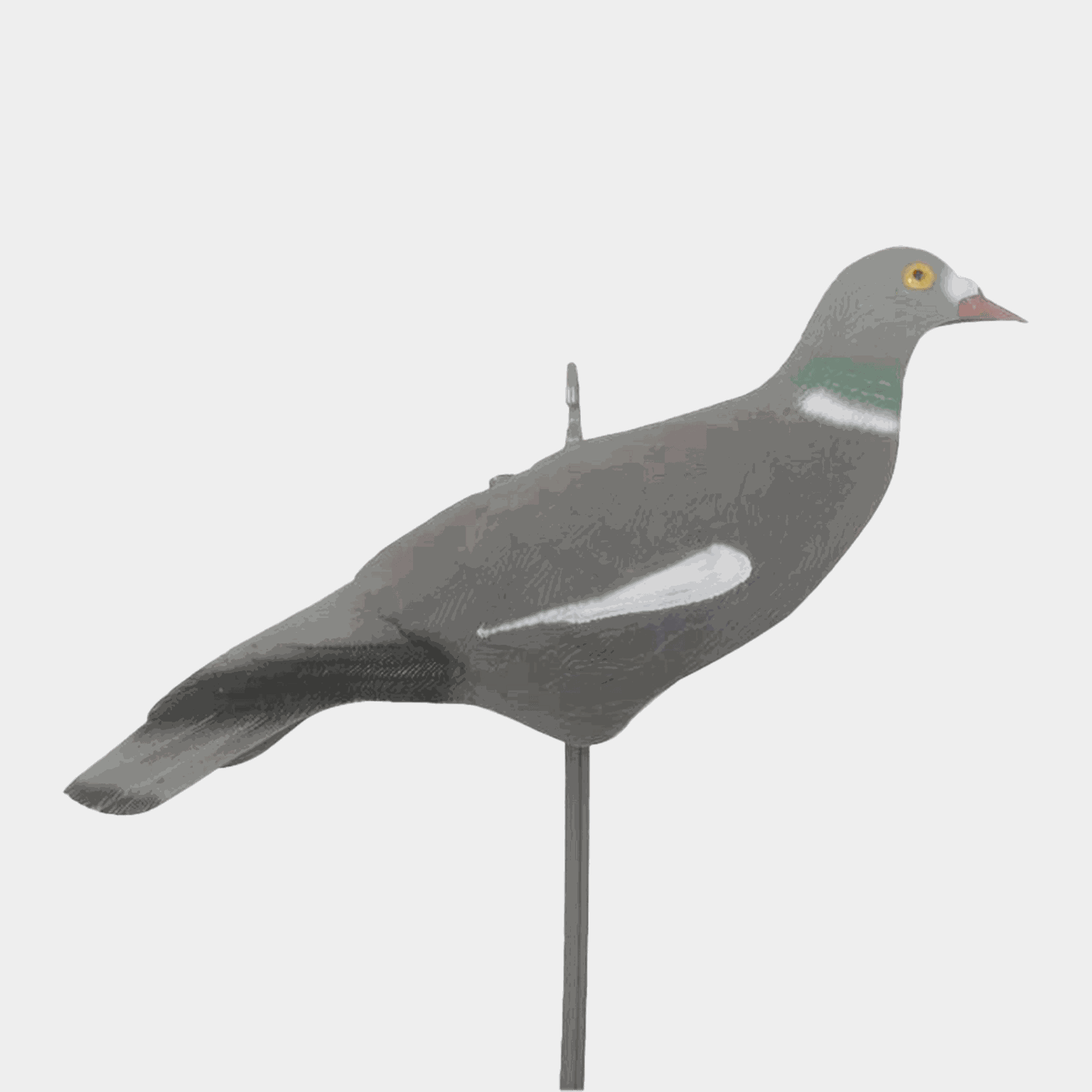 Pigeon-kuori, decoy, houkutuslintu, sepelkyyhky - full image 1