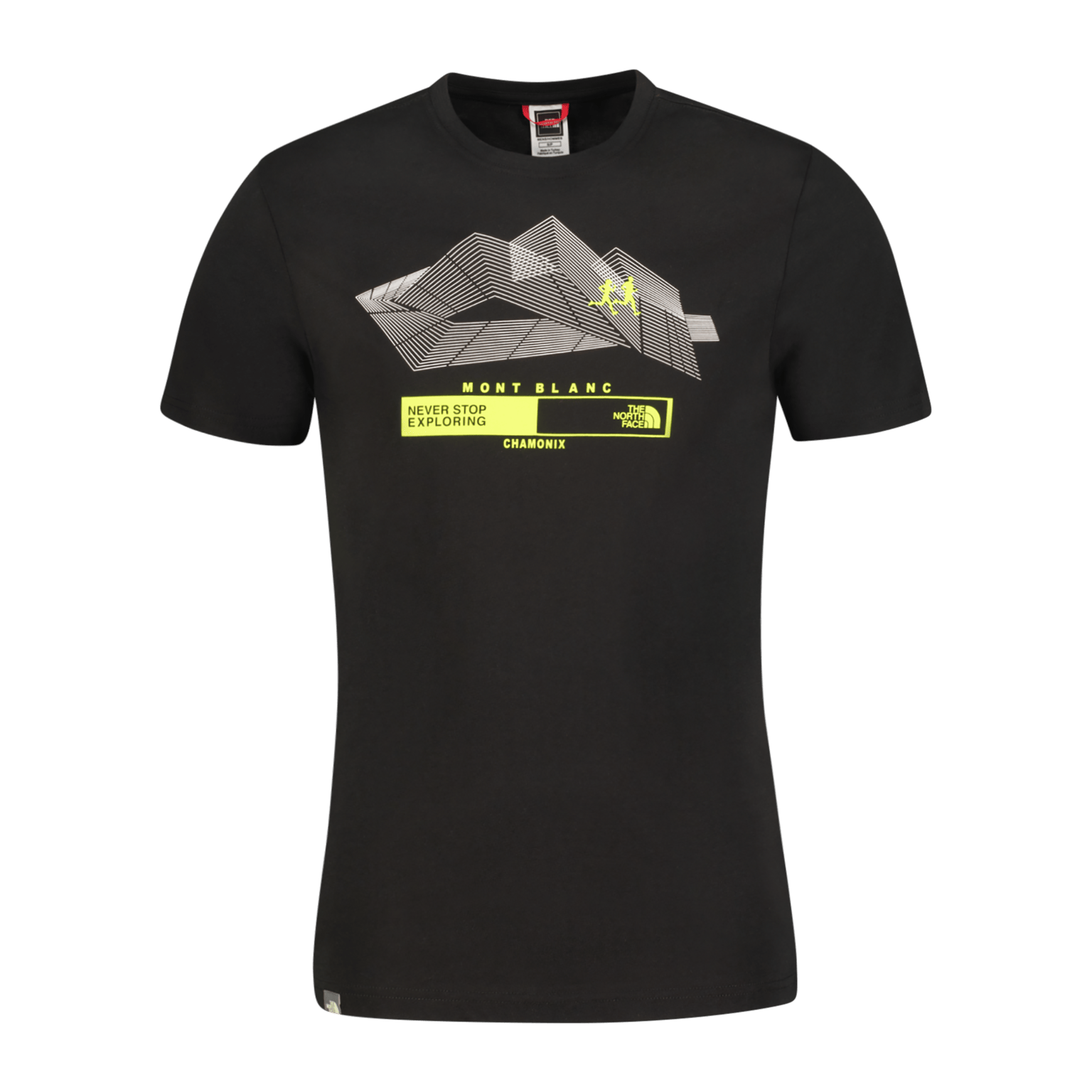 Футболка The North Face Chamonix Ss