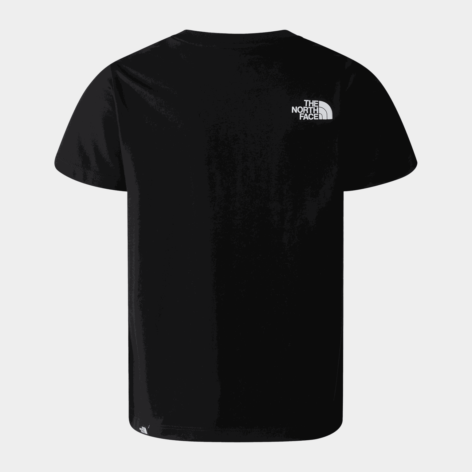 TNF Simple Dome Tee - full image 2