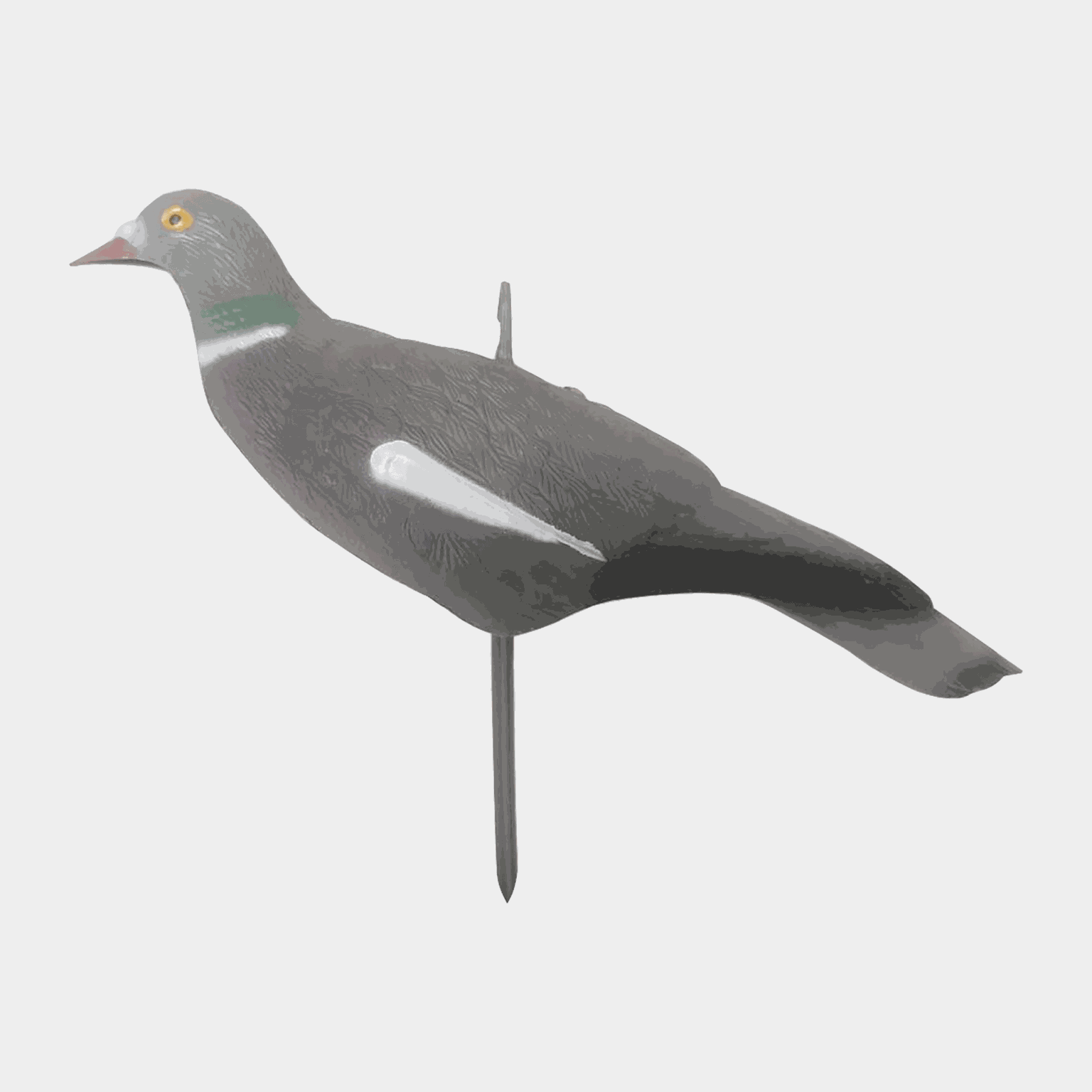 Pigeon-kuori, decoy, houkutuslintu, sepelkyyhky - full image 2